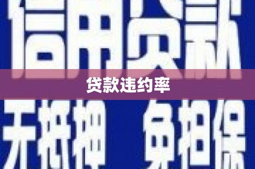 湖滨贷款违约率