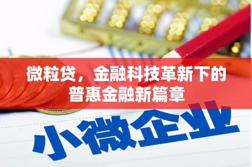湖滨微粒贷，金融科技革新下的普惠金融新篇章