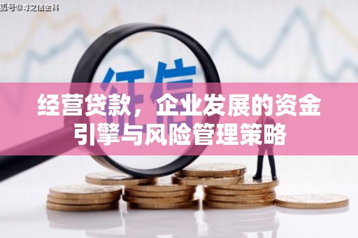 湖滨经营贷款，企业发展的资金引擎与风险管理策略