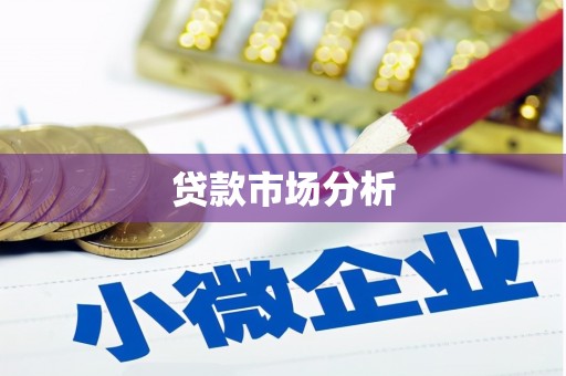 湖滨贷款市场分析