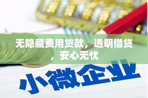 湖滨无隐藏费用贷款，透明借贷，安心无忧