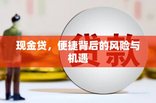 湖滨现金贷，便捷背后的风险与机遇