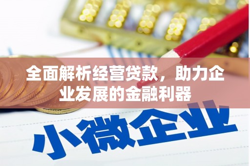 湖滨全面解析经营贷款，助力企业发展的金融利器