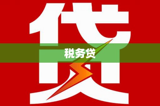 湖滨税务贷