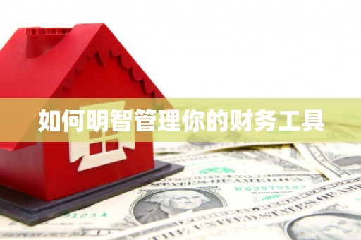 湖滨如何明智管理你的财务工具