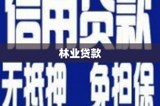 湖滨林业贷款