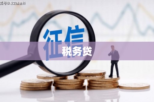 湖滨税务贷