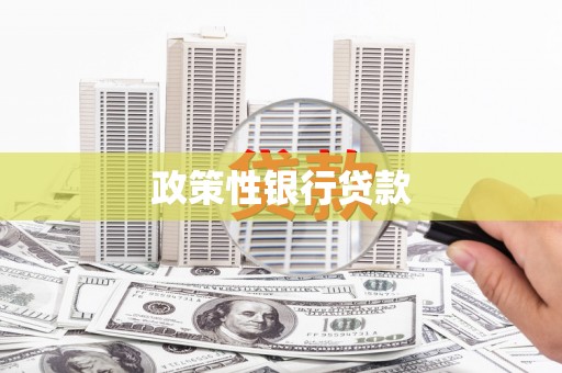 湖滨政策性银行贷款