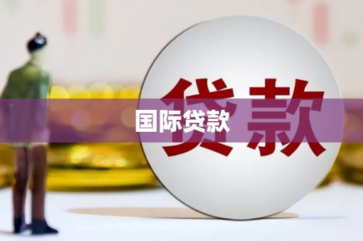 湖滨国际贷款