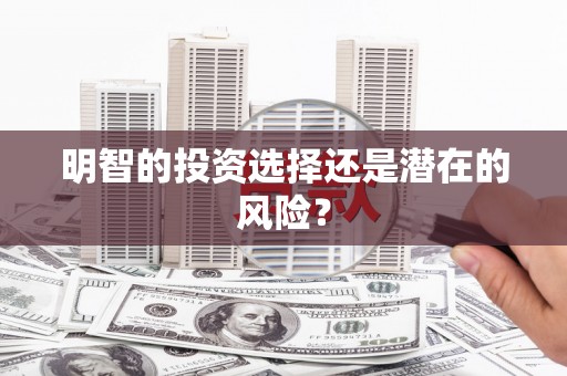 湖滨明智的投资选择还是潜在的风险？