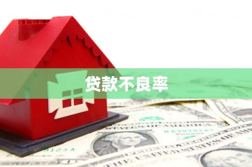 湖滨贷款不良率