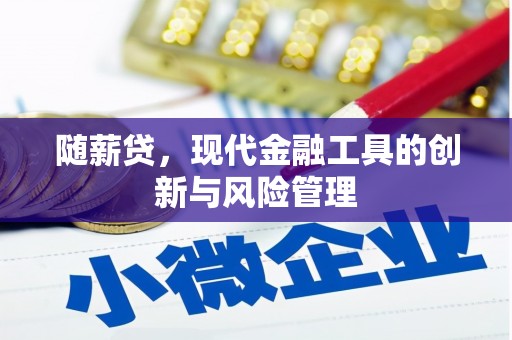 湖滨随薪贷，现代金融工具的创新与风险管理