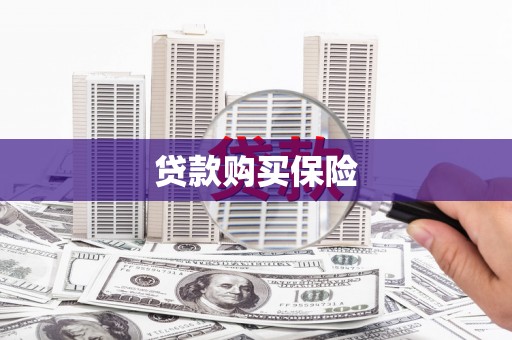 湖滨贷款购买保险