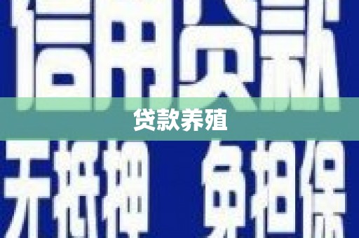 湖滨贷款养殖