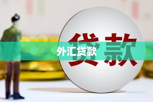 湖滨外汇贷款