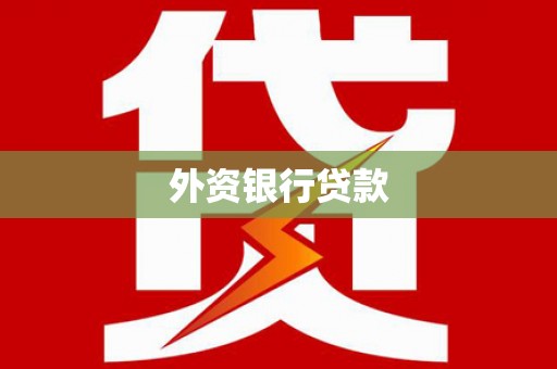 湖滨外资银行贷款