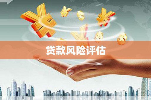 湖滨贷款风险评估