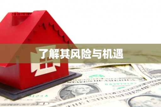 湖滨了解其风险与机遇