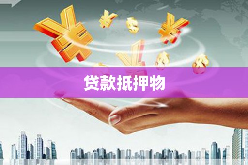 湖滨贷款抵押物