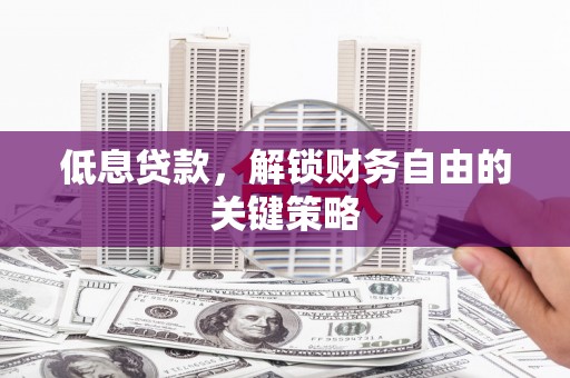湖滨低息贷款，解锁财务自由的关键策略