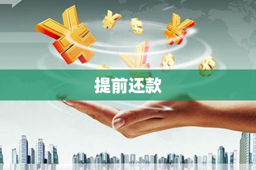 湖滨提前还款