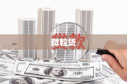 湖滨微粒贷