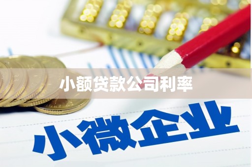 湖滨小额贷款公司利率