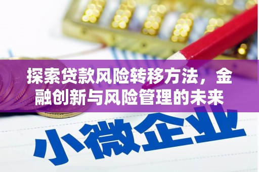 湖滨探索贷款风险转移方法，金融创新与风险管理的未来