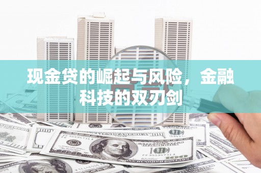 湖滨现金贷的崛起与风险，金融科技的双刃剑