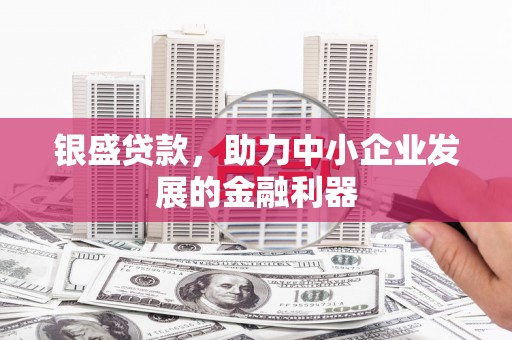 湖滨银盛贷款，助力中小企业发展的金融利器