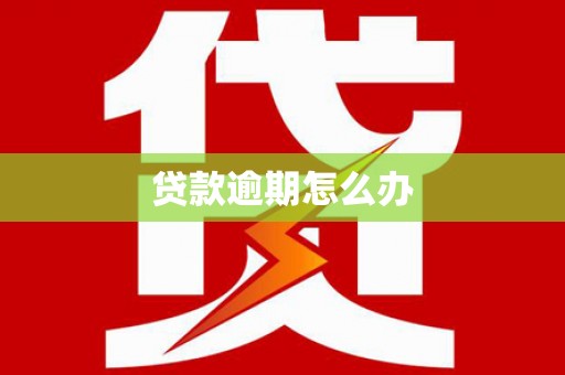 湖滨贷款逾期怎么办