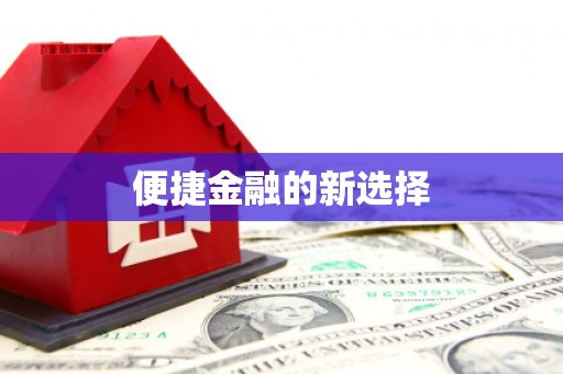 湖滨便捷金融的新选择