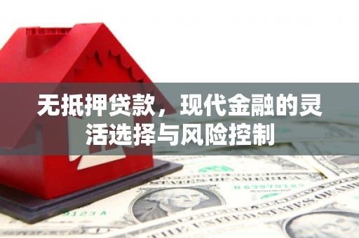 湖滨无抵押贷款，现代金融的灵活选择与风险控制