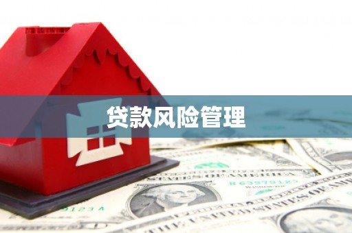 湖滨贷款风险管理
