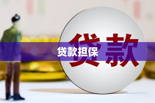 湖滨贷款担保