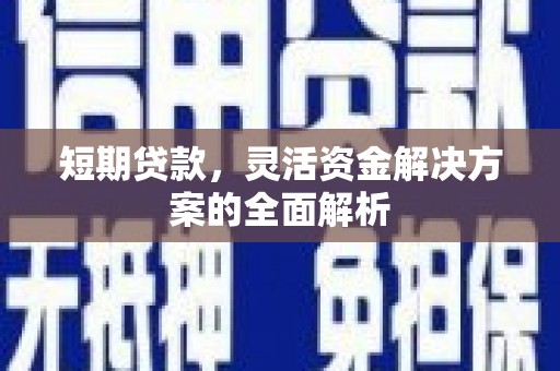 湖滨短期贷款，灵活资金解决方案的全面解析