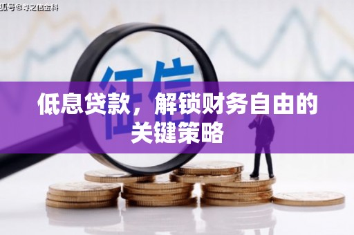 湖滨低息贷款，解锁财务自由的关键策略