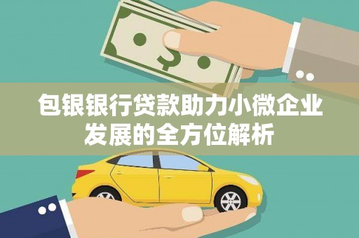 湖滨包银银行贷款助力小微企业发展的全方位解析