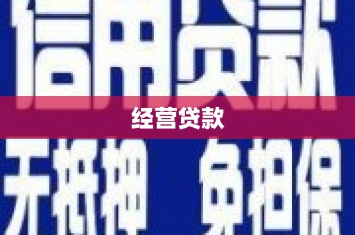 湖滨经营贷款