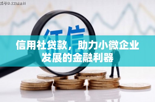 湖滨信用社贷款，助力小微企业发展的金融利器