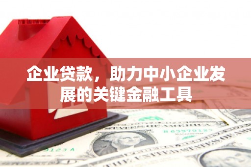 湖滨企业贷款，助力中小企业发展的关键金融工具