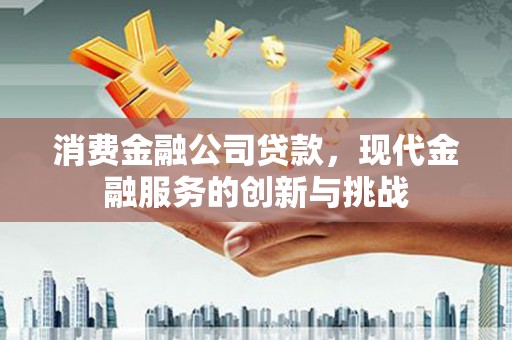 湖滨消费金融公司贷款，现代金融服务的创新与挑战