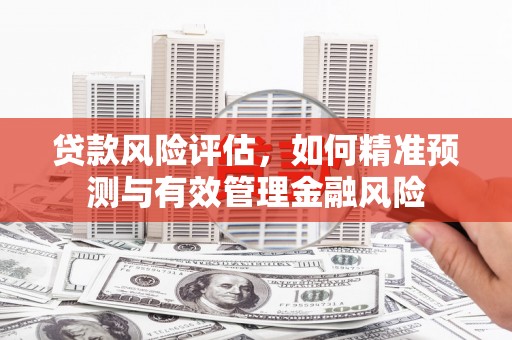 湖滨贷款风险评估，如何精准预测与有效管理金融风险