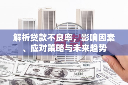 湖滨解析贷款不良率，影响因素、应对策略与未来趋势