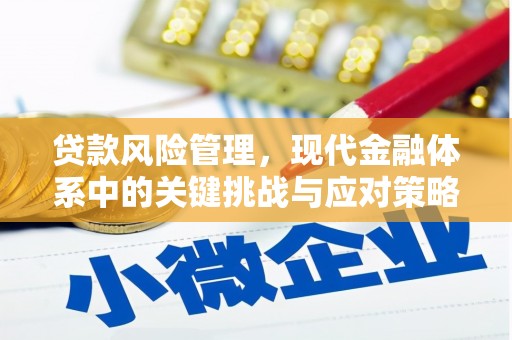 湖滨贷款风险管理，现代金融体系中的关键挑战与应对策略