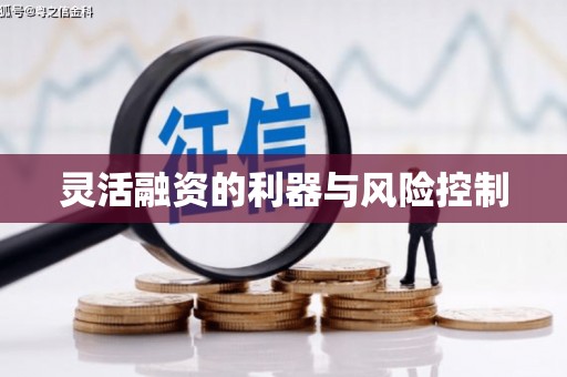 湖滨灵活融资的利器与风险控制