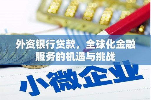 湖滨外资银行贷款，全球化金融服务的机遇与挑战