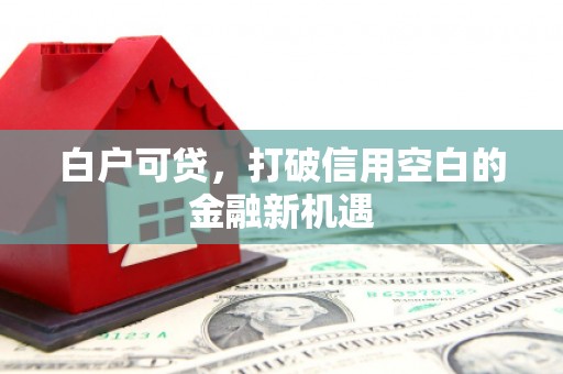 湖滨白户可贷，打破信用空白的金融新机遇