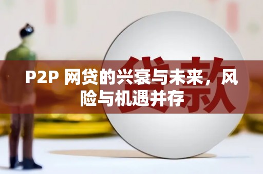 湖滨P2P 网贷的兴衰与未来，风险与机遇并存
