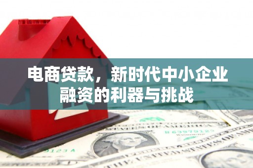 湖滨电商贷款，新时代中小企业融资的利器与挑战